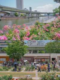 สวนกุหลาบกลางเมือง เข้าฟรี! ที่โอซาก้า🌹