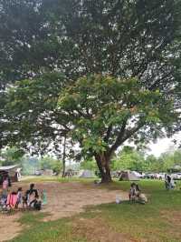 ลานกางเต๊นท์ เล่นน้ำ นครนายก