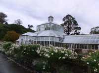 紐西蘭最古老的植物園#但尼丁植物園（Dunedin Botanic Garden）- 紐西蘭但尼丁市