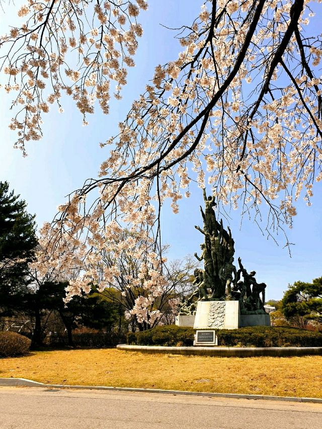 벚꽃잎 휘날리던 시절, 국립서울현충원