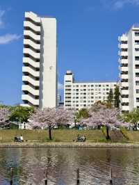 A Spring Stroll at Kyunakagawa Mizube Park