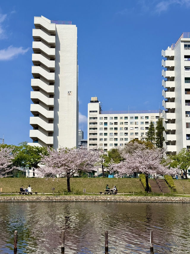 A Spring Stroll at Kyunakagawa Mizube Park