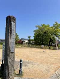 【大分】江戸時代にタイムスリップ⁈ 天領として栄えた街・日田