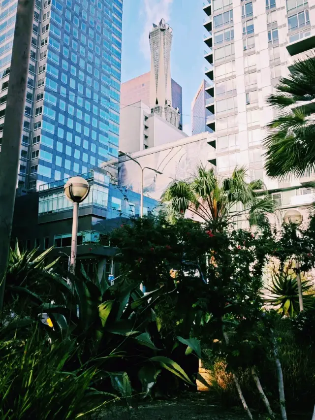 美國洛杉磯旅遊攻略，適合打卡拍照📸