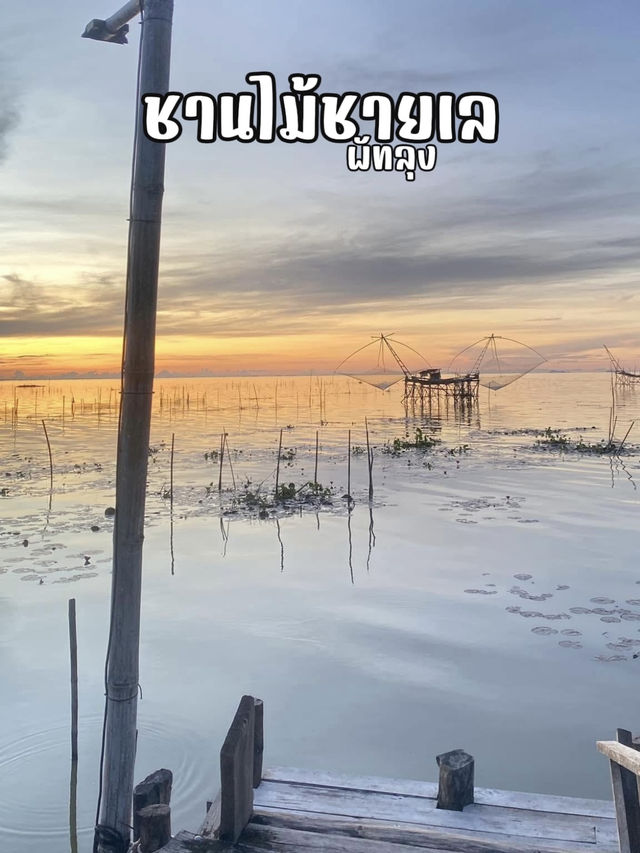 พักผ่อนสโลว์ไลฟ์ริมทะเลน้อยที่ “ชานไม้ชายเล” 