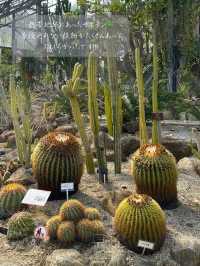 無料で入園できる日がある！？つくば植物園🌱