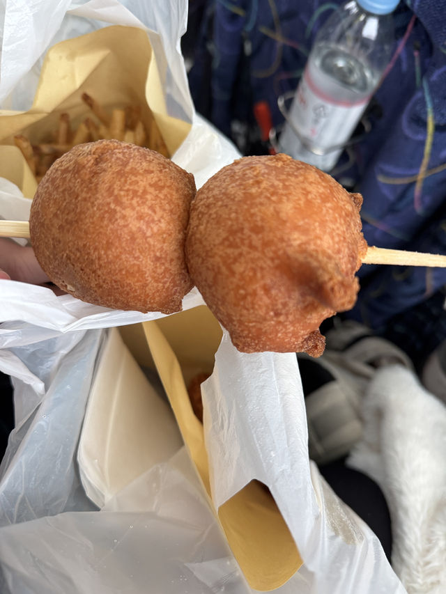🇯🇵北海道第三天