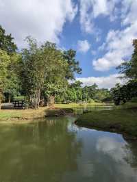 Johor Bahru City Council City Forest