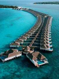 Tropical Chic Meets Barefoot Fun: My Dreamy Escape to Finolhu Maldives