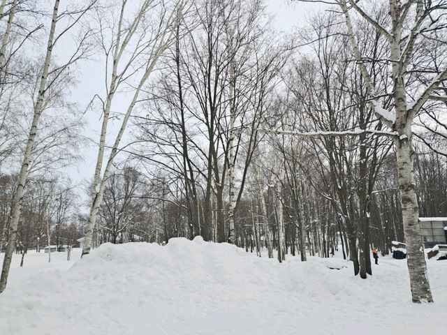 北海道旅遊🥳富良野起司工房😍品嚐出產最馳名的起司牛奶奶油類食品🧀