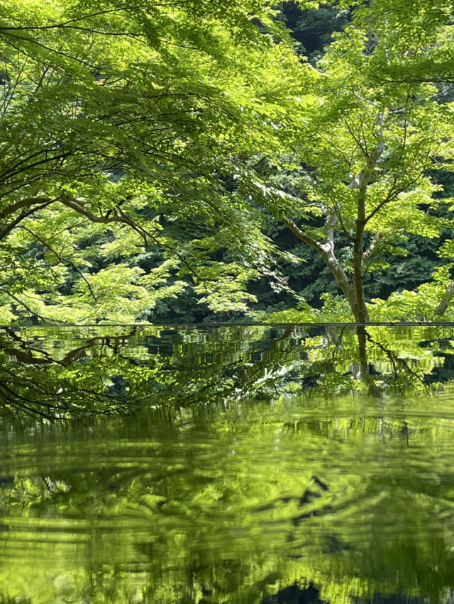 【京都】絶景リフレクション やSNSで話題のシンメトリーの丸窓