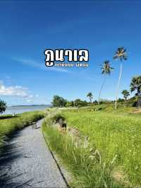 คาเฟ่ลับริมทะเล บรรยากาศโคตรดีที่ “ภูนาเล พัทลุง“