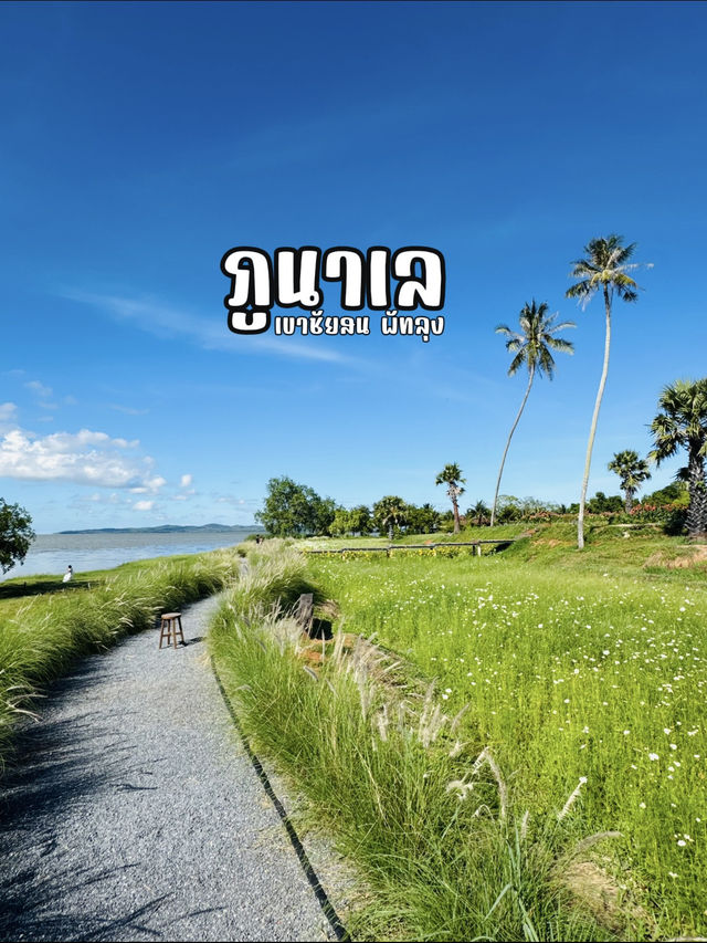 คาเฟ่ลับริมทะเล บรรยากาศโคตรดีที่ “ภูนาเล พัทลุง“