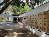 Mount Coottha Botanic garden 