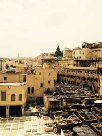 タンネリ(皮なめし職人地区) モロッコ　フェズ🇲🇦