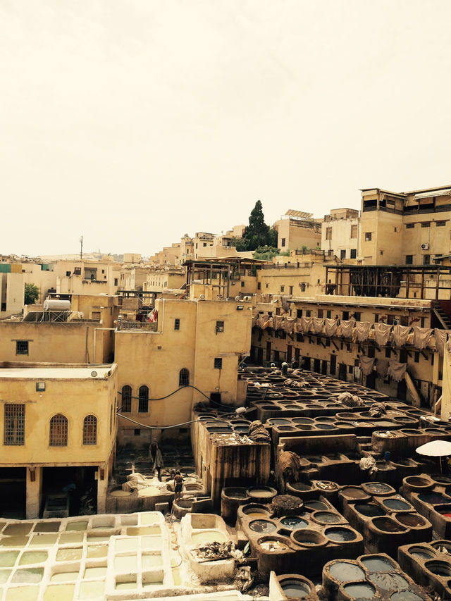 タンネリ(皮なめし職人地区) モロッコ　フェズ🇲🇦