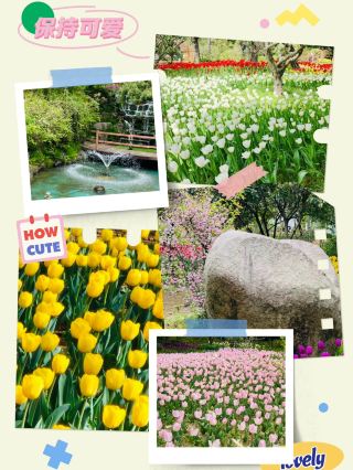 Haneulbit Arboretum: An April Tulip Paradise