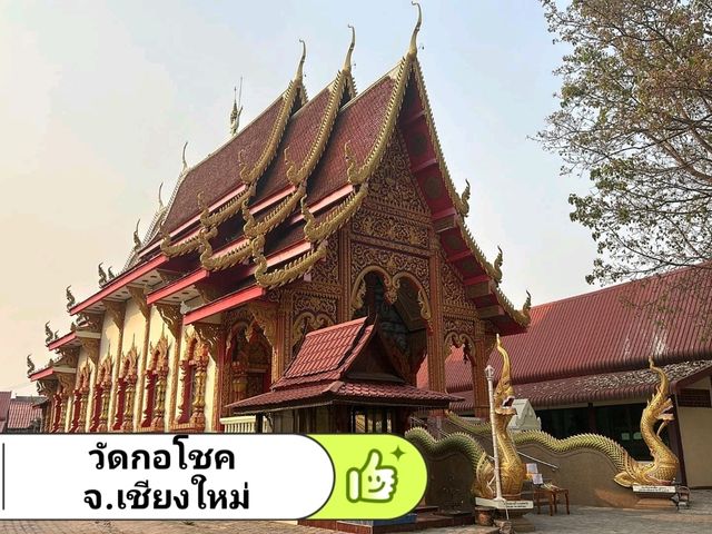 วัดกอโชต อ.สันป่าตอง จ.เชียงใหม่