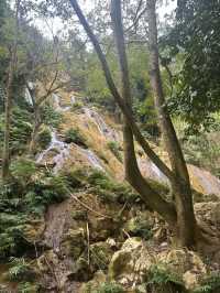 A Hidden Oasis