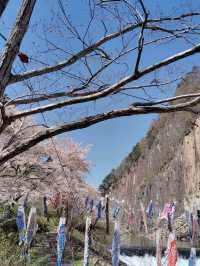 【材木岩公園】国の天然記念物「材木岩」の造形美