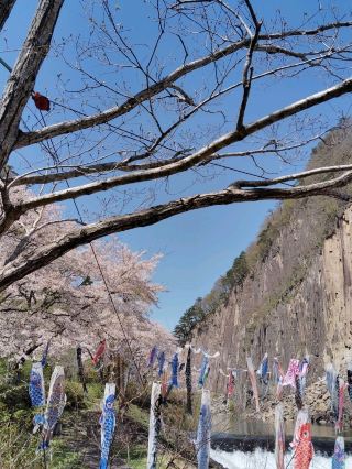 Zaimoku Rock Park: The Natural Beauty of Japan's National Monument