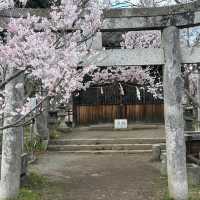 Takato Castle Ruins Park, Nagano