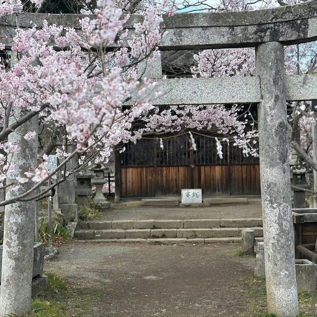 Takato Castle Ruins Park, Nagano