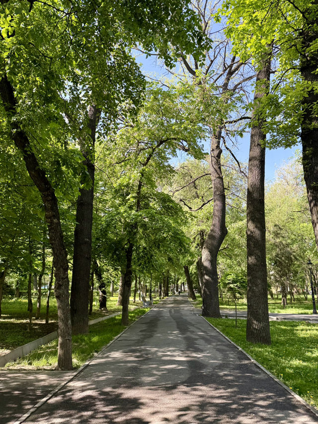 Springtime Vibes at 28 Panfilov Guardsmen Park