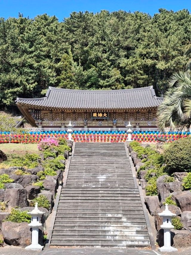 용머리해안.사라봉.산방산,성산일출봉