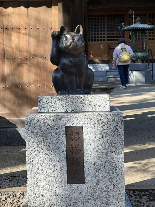東京充滿招財貓的可愛神社—豪德寺