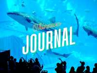 🚀 沖繩旅遊全攻略｜潛水、美麗海水族館、萬座毛、燈塔打卡熱點 🌊