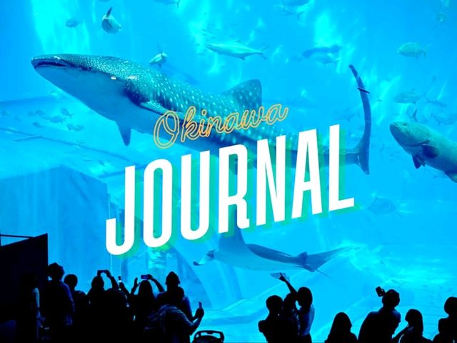 🚀 沖繩旅遊全攻略｜潛水、美麗海水族館、萬座毛、燈塔打卡熱點 🌊