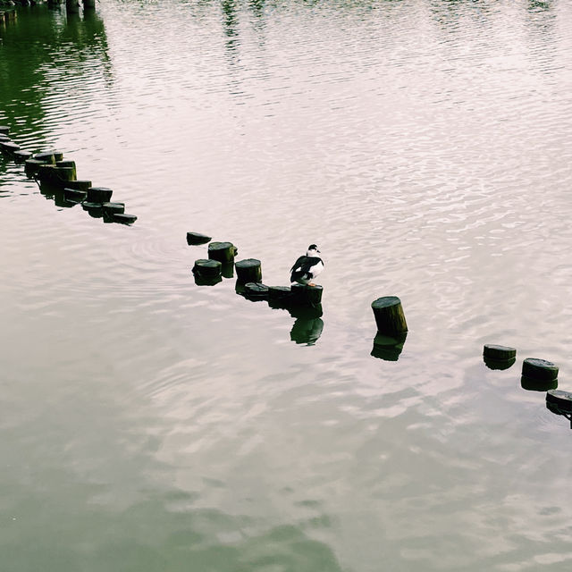 龍潭湖｜宜蘭礁溪秘境散步好去處