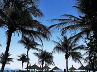 베트남 Melia resort 