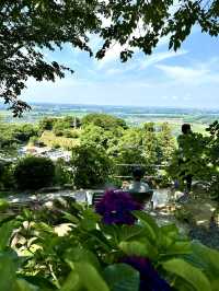 【栃木】境内には思考を凝らしたフォトスポットがたくさん！！