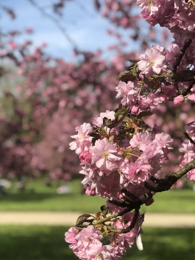 🇫🇷 Parc de Sceaux | A Spring Invitation from Paris