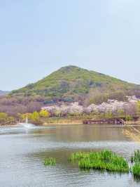 여유로운 산책 가능한 봄여행지