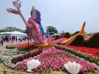 #桃園彩色海芋季-桃園市大園區