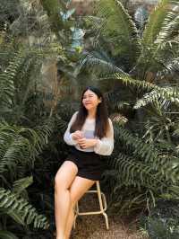 🌳 ปูรณ์-POON คาเฟ่บางแสน ถ่ายรูปสวยทุกมุม!☕️