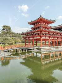 A Serene Weekend in Uji: Cherry Blossoms, Matcha & Timeless Beauty