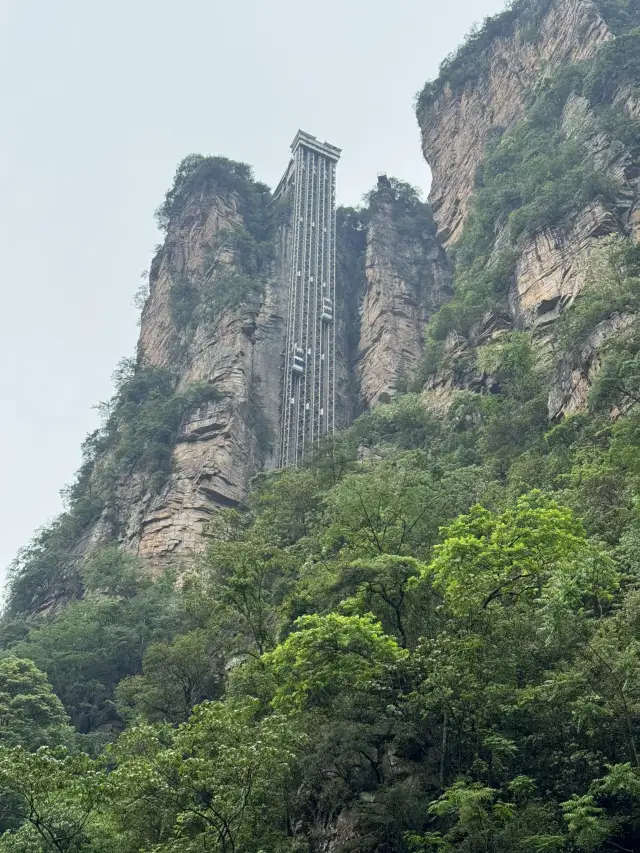 산에서 영감을 받은 아바타 영화