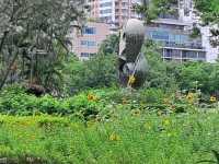 Golden blooms light up Benjakitti Park 