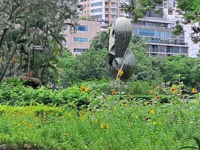 Golden blooms light up Benjakitti Park 