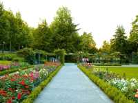 The Rose Garden (Rosengarten): The jewel of Switzerland!