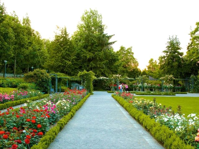 The Rose Garden (Rosengarten): The jewel of Switzerland!