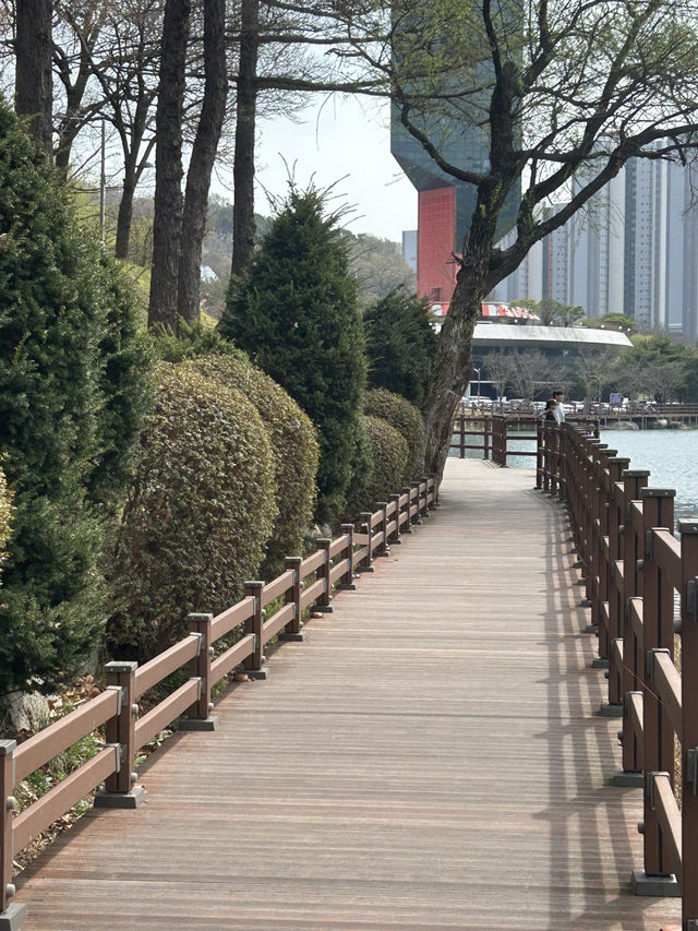 청주 명암저수지, 힐링 산책 데이트 추천🤍🍀🌱