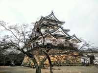 #彥根城-日本滋賀縣彥根市
