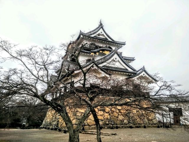 #彥根城-日本滋賀縣彥根市