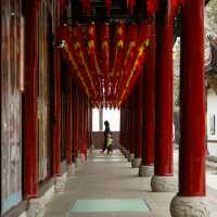 Chengdu – A Tranquil Spring of Blossoms and Tea Culture