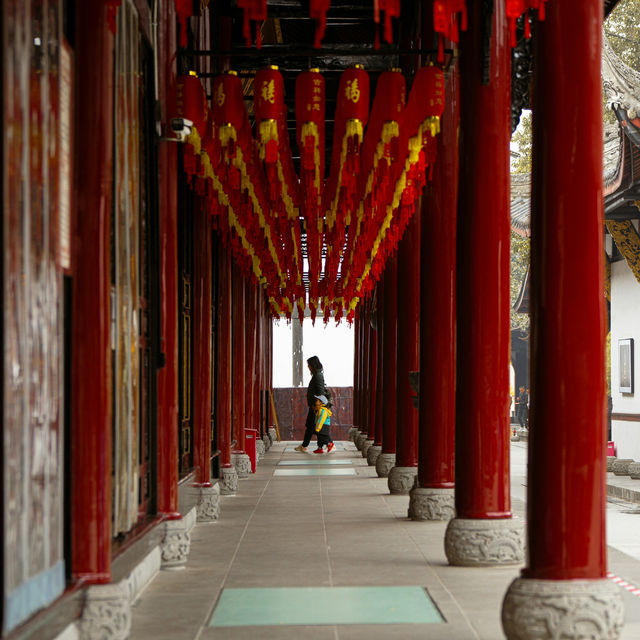 Chengdu – A Tranquil Spring of Blossoms and Tea Culture